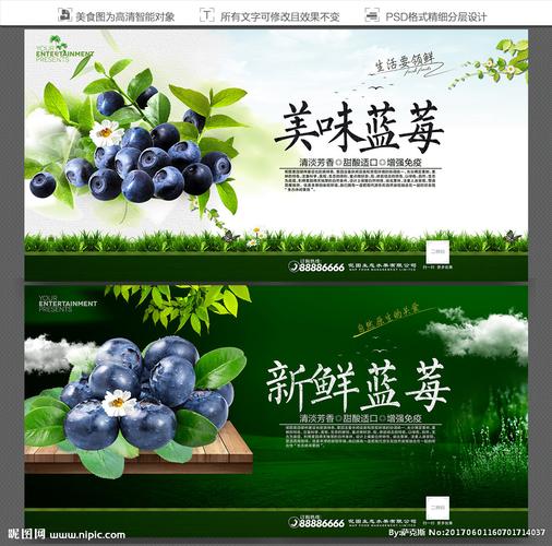 蓝莓海报设计图 国内广告设计中的视觉美学与创意趋势